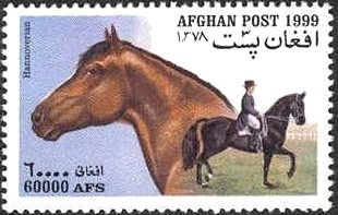 43rd Independence Day