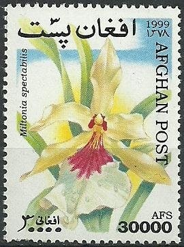 Queen Elizabeth II and Wonder Cowrie (Cypraea hesitata)