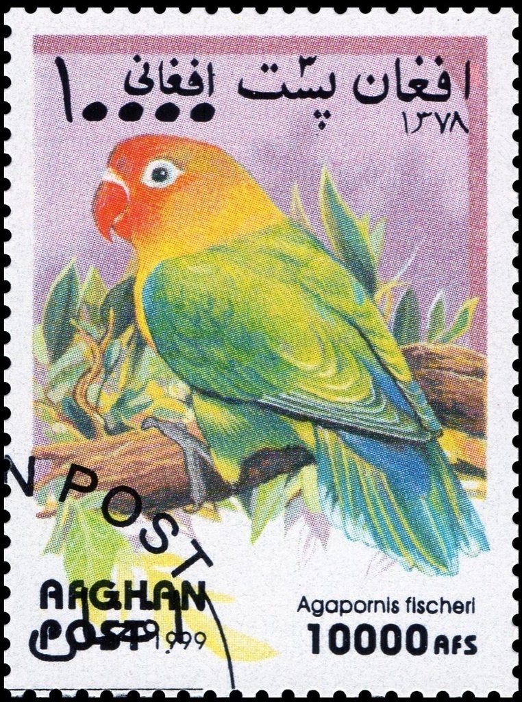 Amir Habibullah handstamp