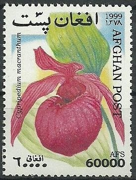 UN Headquarters, NY and Flags of UN and Afghanistan