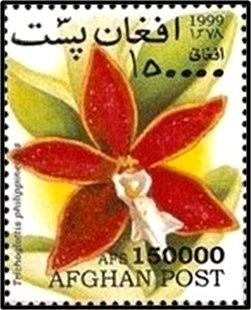 Captain James Cook (1728-1779) and HMS Resolution