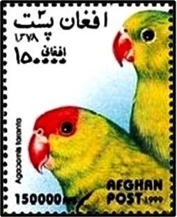 Arch at Qalai Bust, near Kandahar - Orange