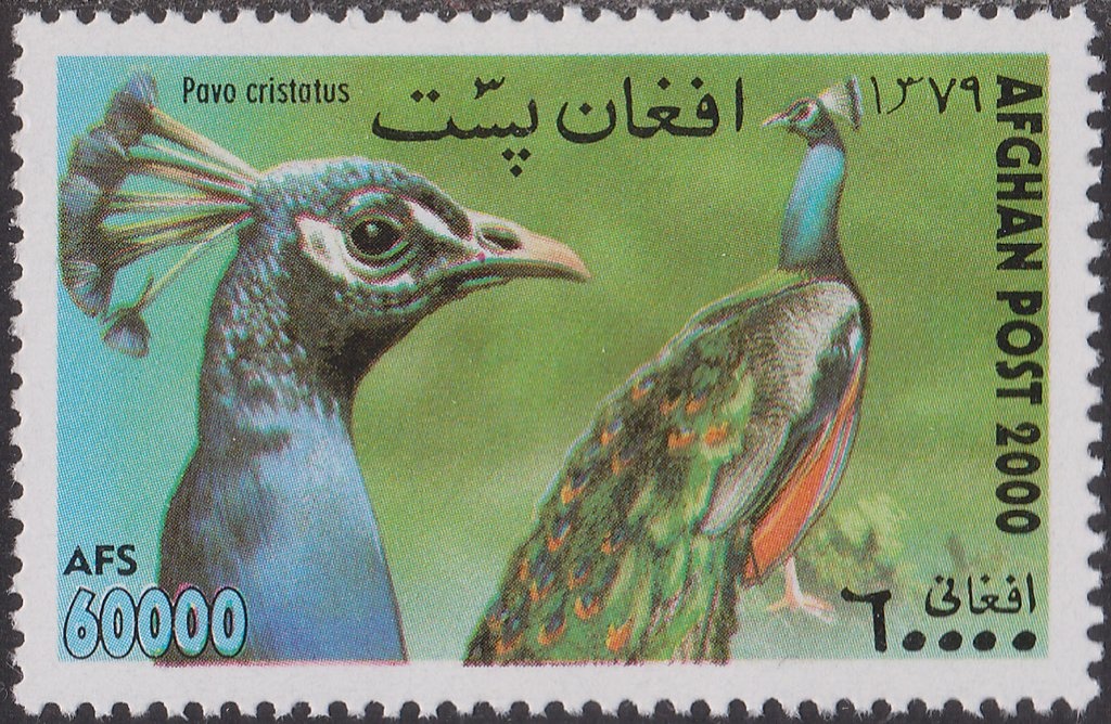 Birth of Prince Henry of Wales