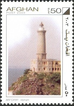 Buzkashi Game, Horse (Equus ferus caballus)
