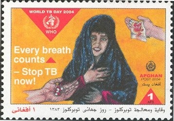 Potez 25A2 over Kabul - Blue