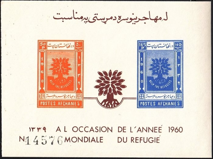 Buzkashi Game, Horse (Equus ferus caballus)