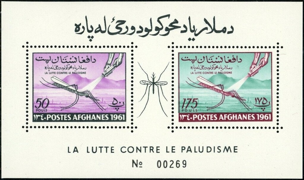 Wild Goat (Capra aegagrus)