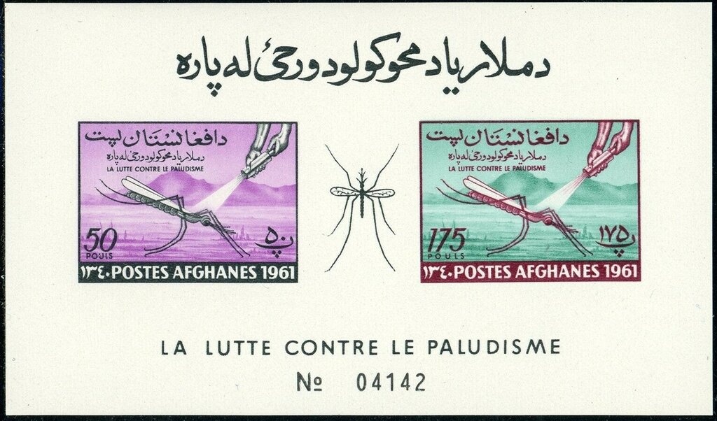 Scouts Providing First Aid