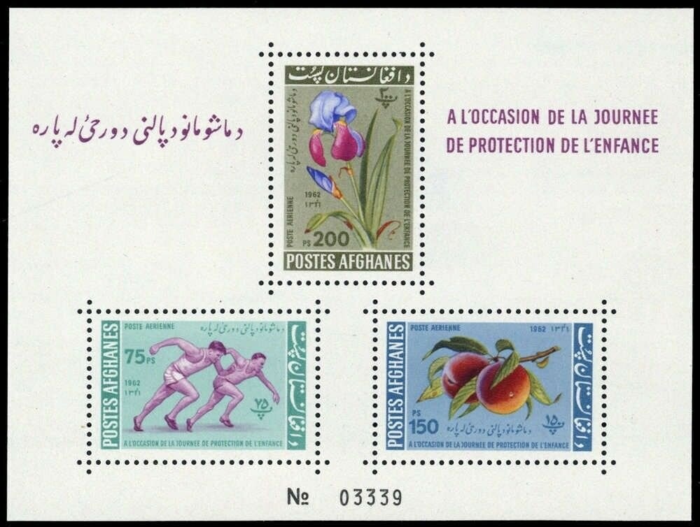 Fly Specked Natica (Natica millepunctata)