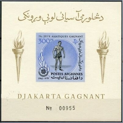 Chaimarrornis leucocephalus