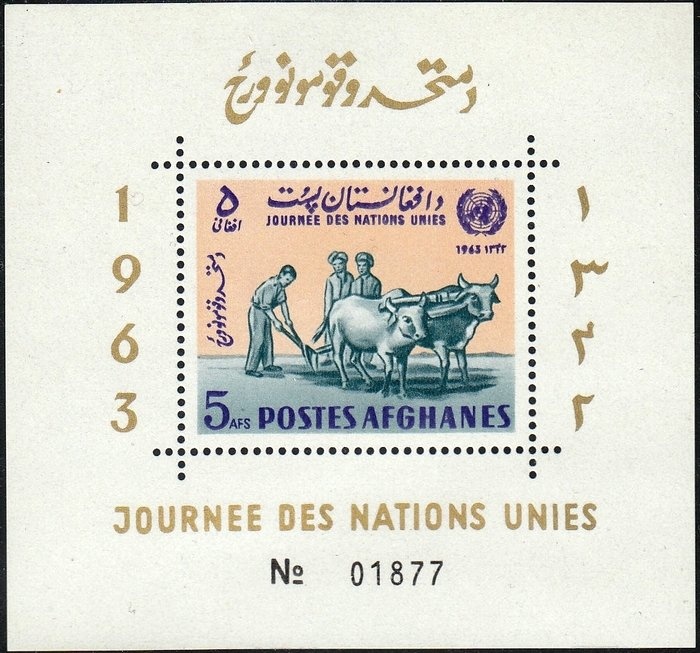 Spotted Reef Crab (Carpilius maculatus)