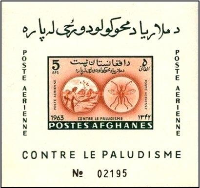 Woman in national costume