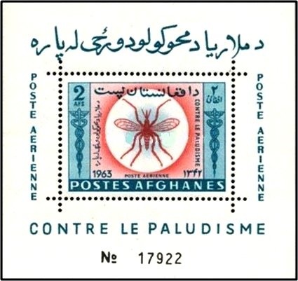 Plums and Custard (Tricholomopsis rutilans)