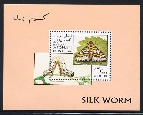 Heptathlon: Glynis Nunn (Australia)