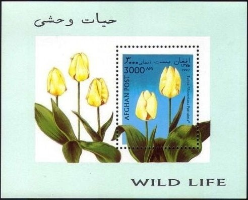 Diana, Princess of Wales surcharged