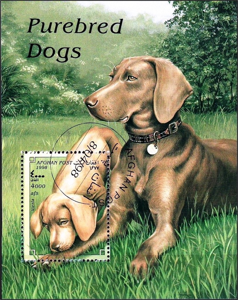 U.N. Headquarters, New York