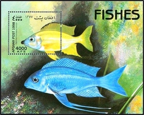 Sputnik 1, first artificial satellite