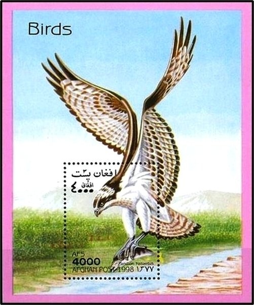 Sultan Mahmud of Ghazni (971-1030), Ghaznavid Empire ruler