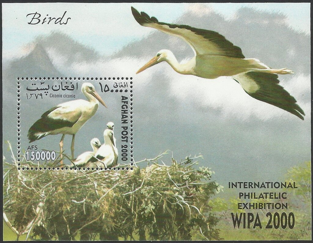 King Mohammed Nadir Shah (1883-1933) and Old Soldier