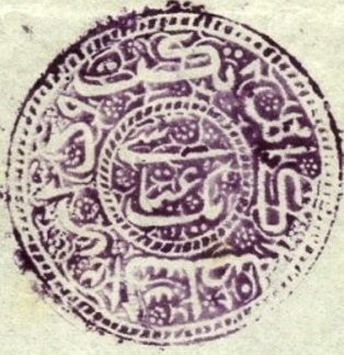 Orchids & Butterflies