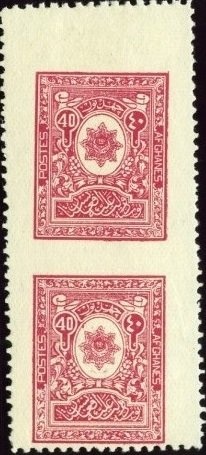 Striped Dolphin (Stenella coeruleoalba)