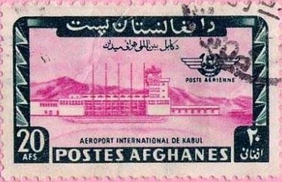 Plowing Fields, Domestic Cattle (Bos taurus)