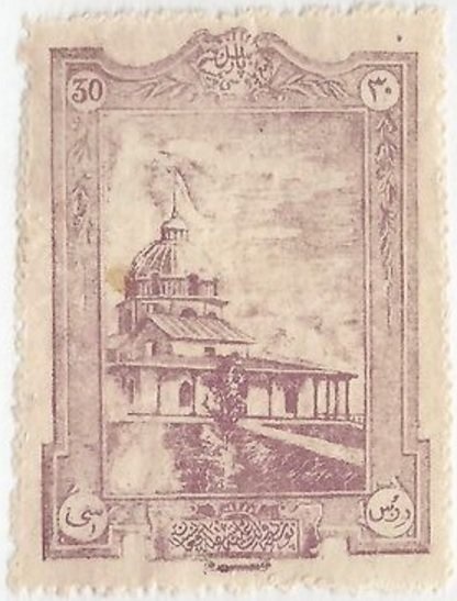 Olive Ridley Sea Turtle (Lepidochelys olivacea)