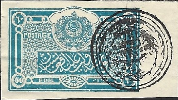 Striped Dolphin (Stenella coeruleoalba)