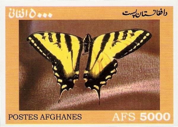 King Mohammed Zahir Shah