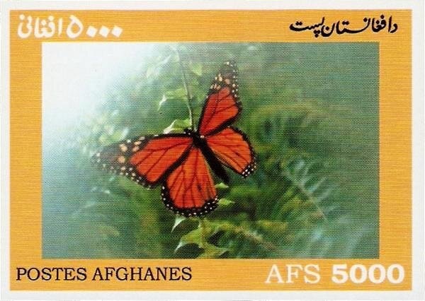 Tiger's Head, year 1294