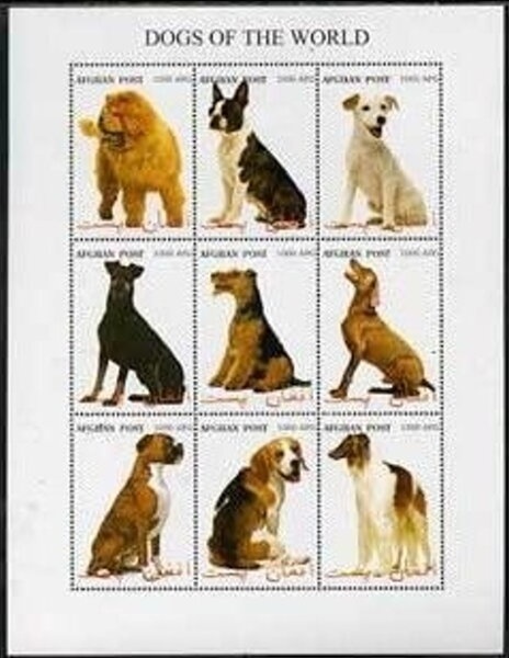 International Women's Day