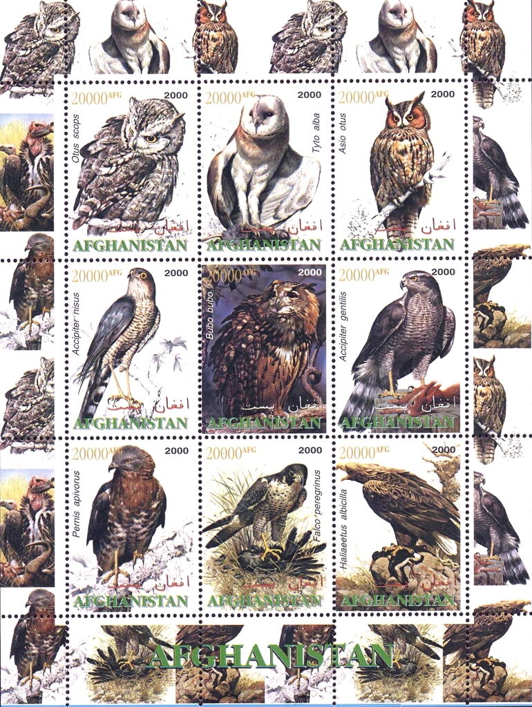 Madonna della seggiola (1514), painting by Raphael