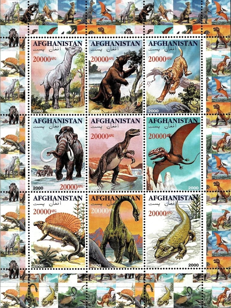 Striped Dolphin (Stenella coeruleoalba)