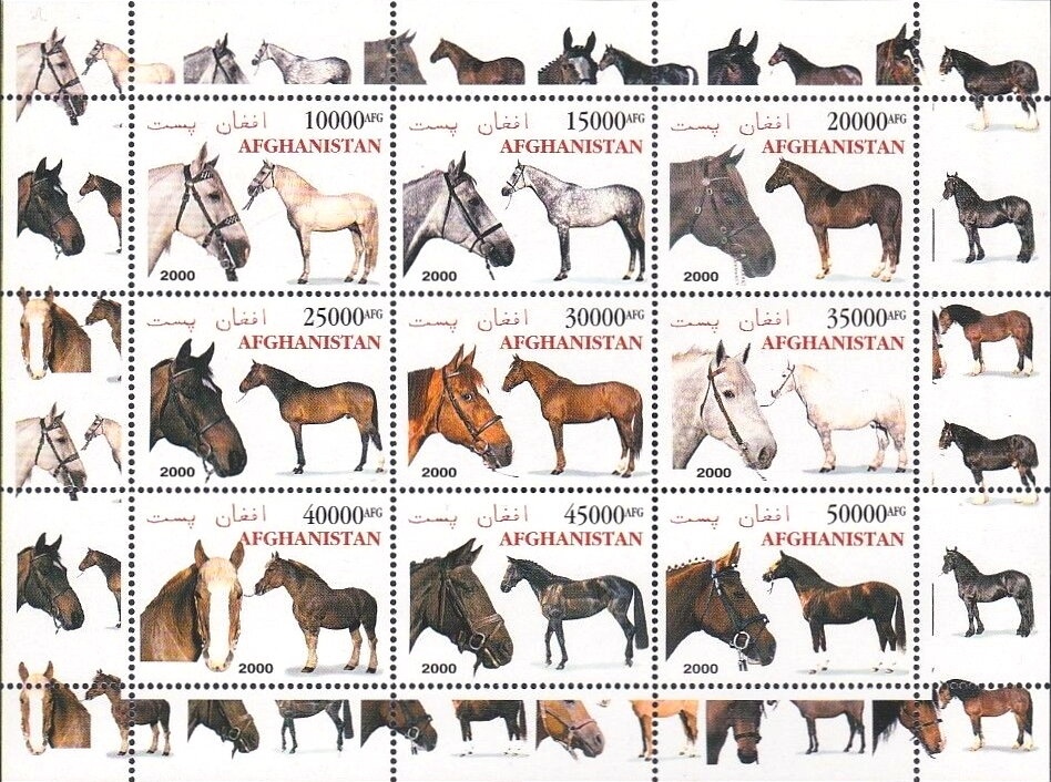 Golden Whistler (Pachycephala pectoralis)