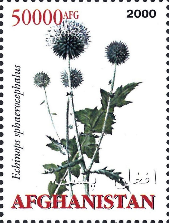 Nurse Holding Patient