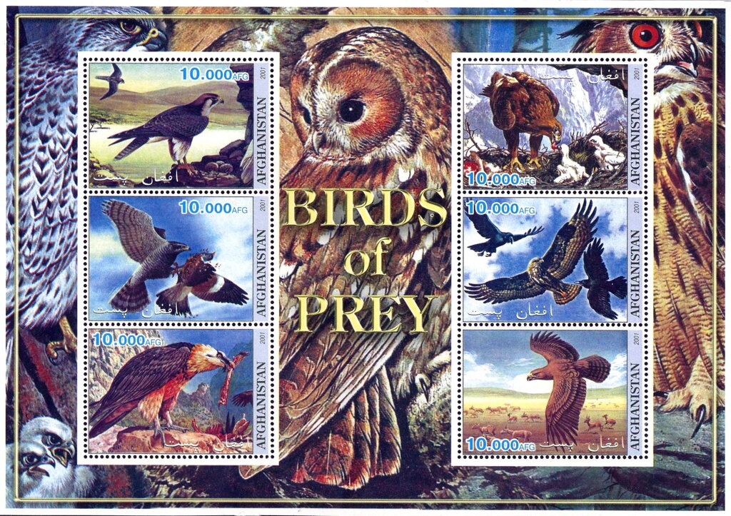 Tiger's Head, year 1294