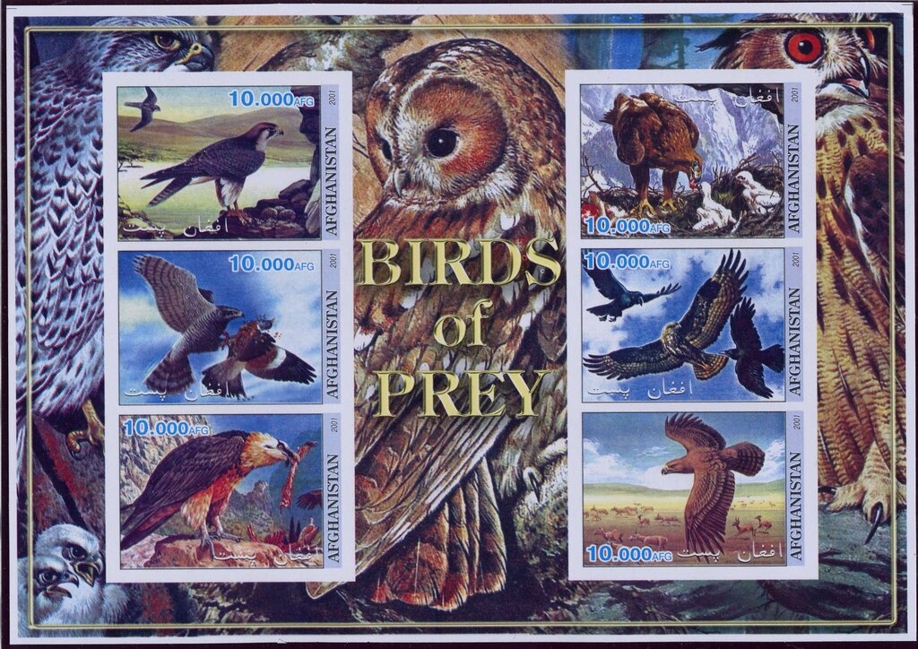 WMO and Afghan Emblems