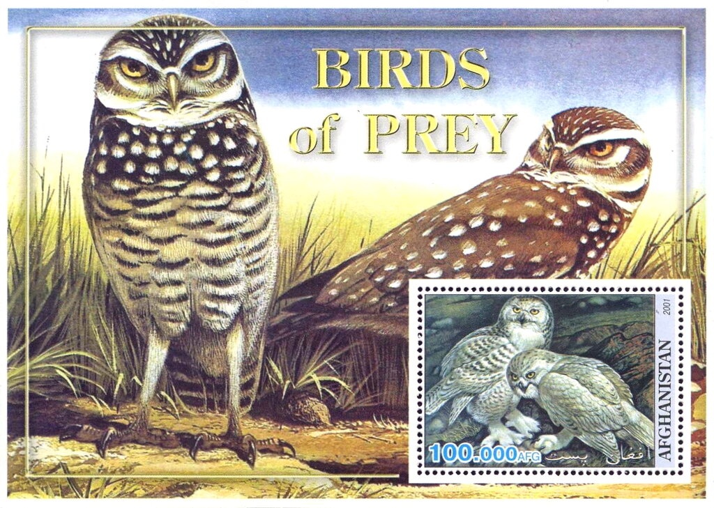 Tambur (Afghan Notched Lute)