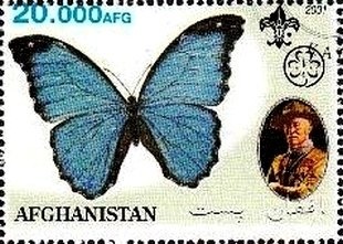 Silky Rosegill (Volvariella bombycina)