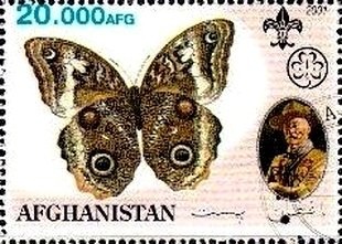 Madonna of the Green Cushion by Andrea Solari, optd Aitutaki