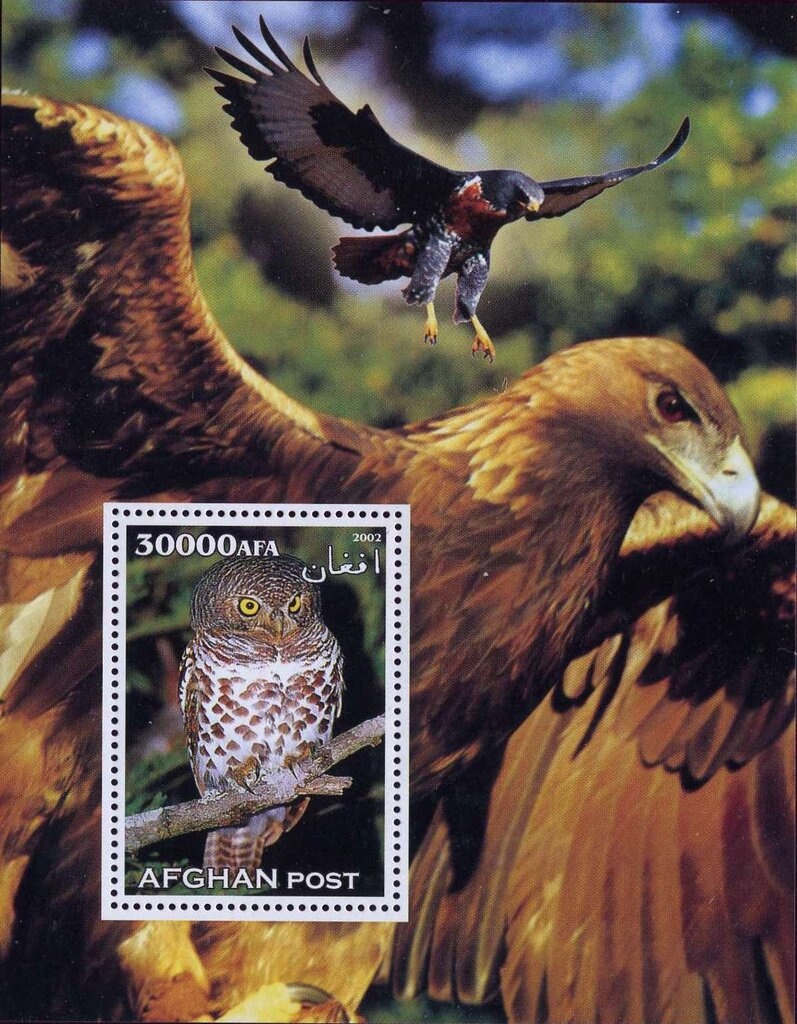 Christmas - Virgin and Child Paintings