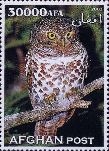 Two small islands, ocean, cloudy sky and Southern Express