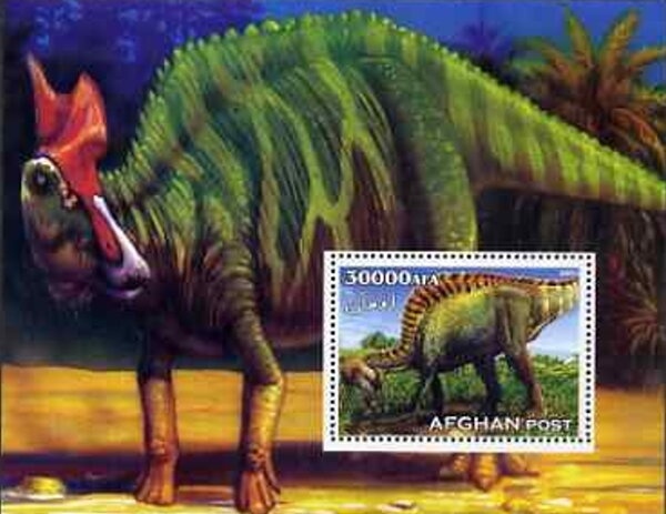 Devon Rex (Felis silvestris catus)