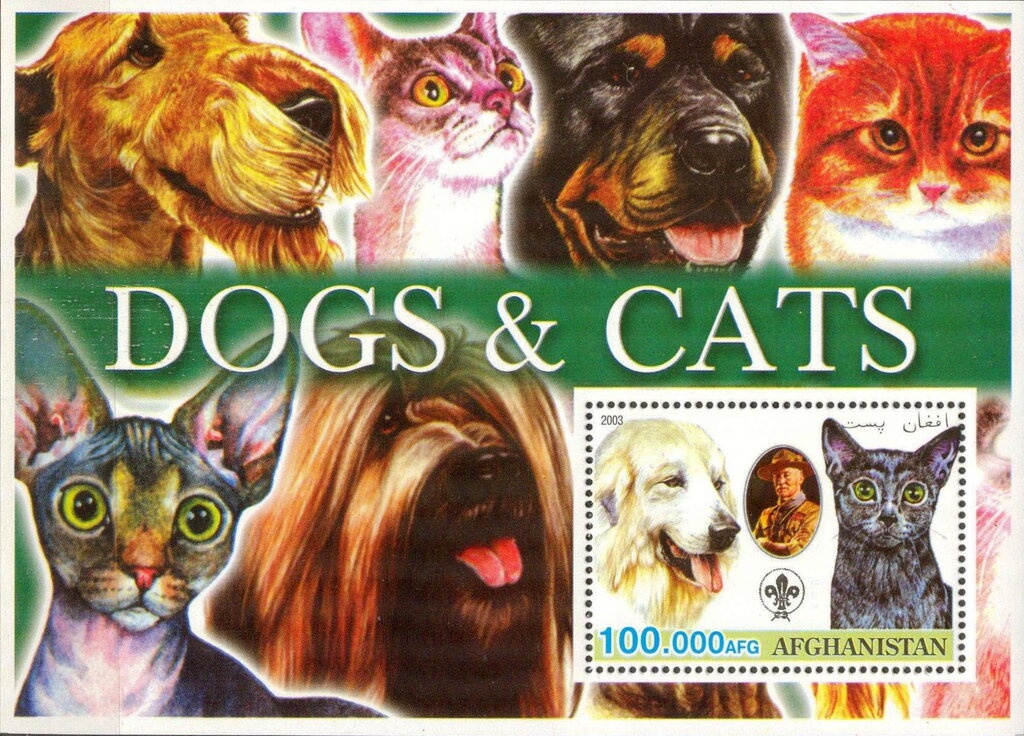 Domestic Cattle (Bos taurus)