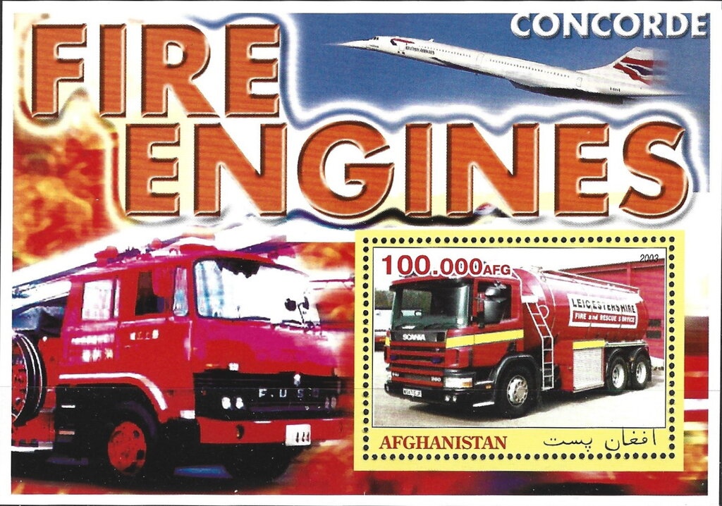 Chanterelle (Cantharellus cibarius)