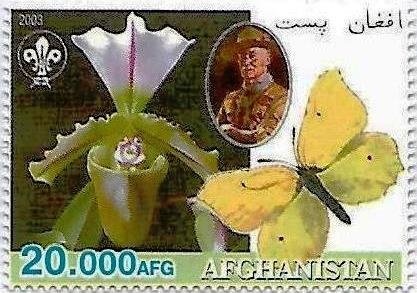 Virgin and Child (1512), by Albrecht Dürer, surcharged