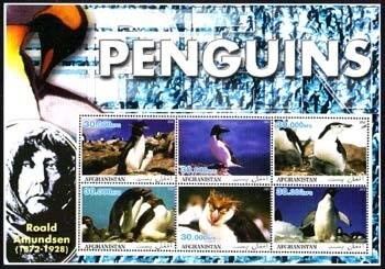 Henst's Goshawk (Accipiter henstii)