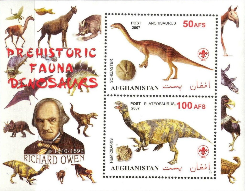 Eurasian Otter: Lutra lutra