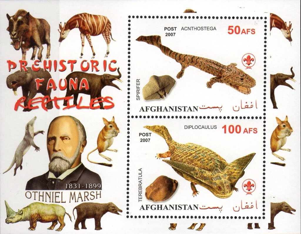 Martyr Families and Freedom Fighters in Palestine