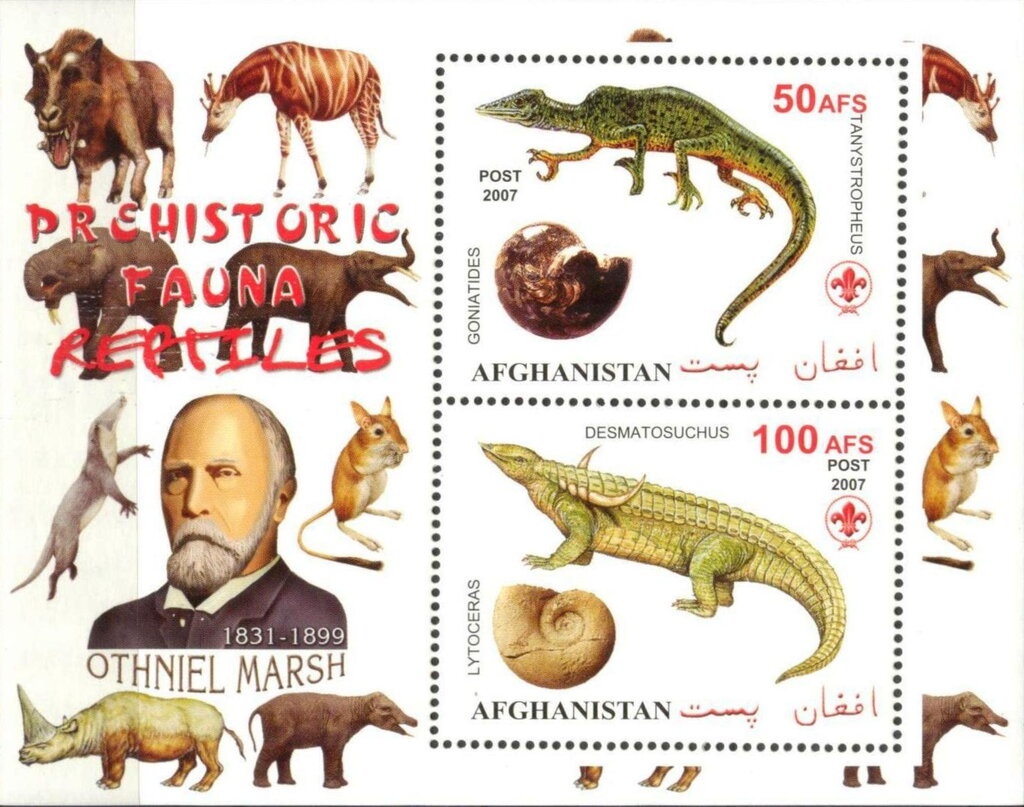 Portrait of Oswolt Krel, Albrecht Dürer (1499)